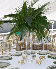 there is a vase with some plants in it on the table