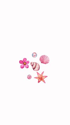 pink flowers and seashells are floating in the air on a white background,