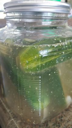 a jar filled with pickles sitting on top of a counter