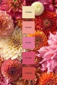 the color palette is pink and orange with some white flowers in it's center