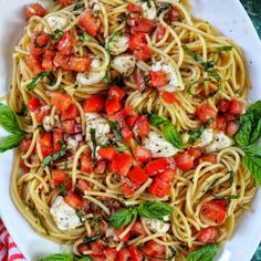 pasta with tomatoes, mozzarella and basil on a white plate