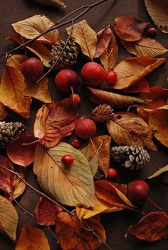 autumn leaves, berries and pine cones are arranged on a tablecloth with brown background