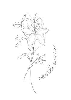 a drawing of a flower on a white background