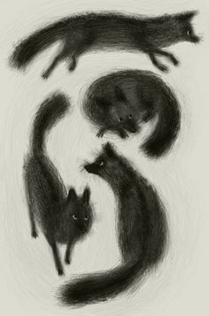 an ink drawing of three animals in the shape of a letter s, with their tails curled up