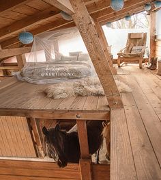 the inside of a wooden cabin with two horses standing on it's decking