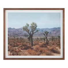 a framed photograph of a desert landscape with mountains in the back ground and trees on the far side