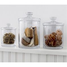 three glass containers filled with different types of seashells and seaweed on a shelf