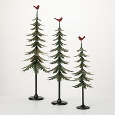 three pine trees with birds on them are standing in the same direction as one another