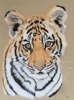 a drawing of a tiger's face is shown