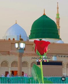 a red rose in front of a green dome