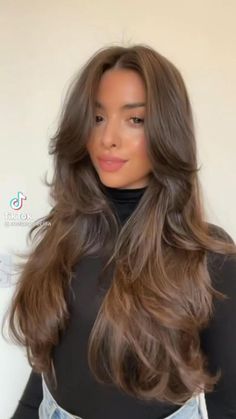 Layered Hair On Long Hair, 2024 Haircut, Haircuts For Long Hair With Layers, Haircuts Straight Hair, Long Brown Hair, Long Layered Hair