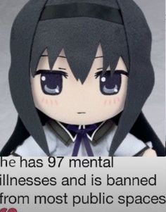 Homura Plush, Time Traveler, Girl Memes