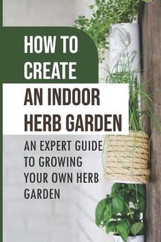 #ad How To Create An Indoor Herb Garden: An Expert Guide To Growing Your Own Herb Ga Indoor Herb Garden Ideas, Zuppa Toscana Soup Olive Garden, Indoor Gardening Supplies, Herb Garden Ideas, Funny Vine, Collateral Beauty, Herb Garden Kit, Indoor Herb, Herb Gardens