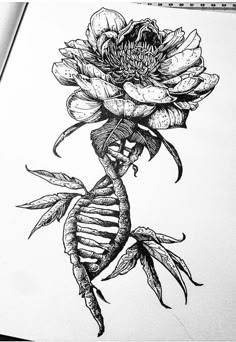 a drawing of a skeleton holding a flower