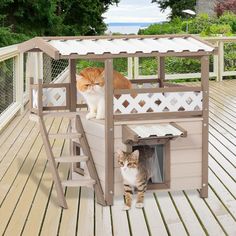 two cats standing on top of a wooden house