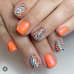 Colourful Autumn Nails, Colourful Animal Print Nails, Safari Inspired Nails, Orange Animal Print Nails, Animal Print Gel Nails, Safari Nails Designs, Zoo Nails, Safari Nails, Biab Nail