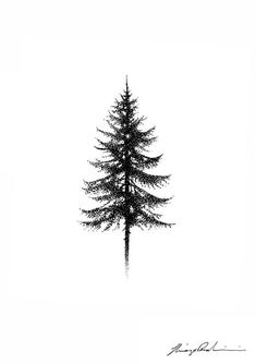 a black and white photo of a pine tree