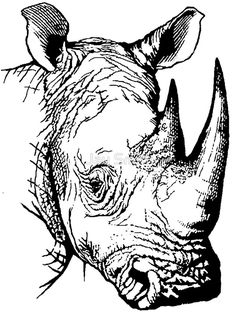 a rhinoceros head is shown in black and white, vintage line drawing or engraving