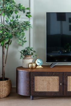 a flat screen tv sitting on top of a wooden cabinet next to a potted plant