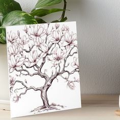 a tree with pink flowers on it sitting next to a potted plant