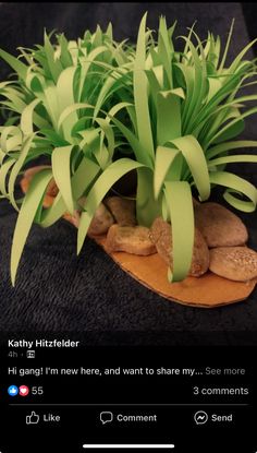 a fake plant is sitting on top of some rocks and grass with the caption that says, i'm going to new here, and want to share my see more