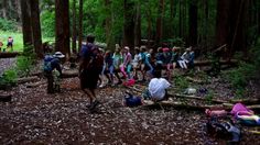 a group of people standing in the woods with backpacks and camping gear on their backs