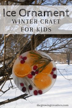 an ornament hanging from a tree in the snow with oranges on it