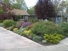 the front yard is full of colorful flowers and shrubs, along with other landscaping items