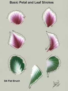 the book cover shows four different types of leaves and their petals, including one pink flower