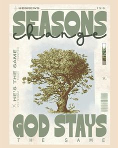 the front cover of seasons magazine with an image of a tree