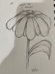 a drawing of a flower with words written on it