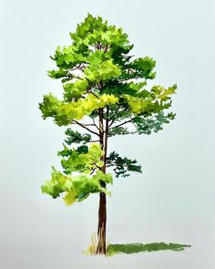 a watercolor painting of a tree with green leaves