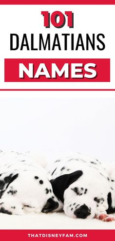 puppies 101 Dalmatians Party Games, Male Disney Characters, 101 Dalmatians Characters, Disney Character Names, Puppies Names Female, The 101 Dalmatians, Disney Names, 101 Dalmations