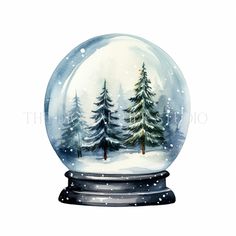 a snow globe with trees inside it