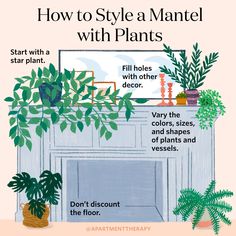 how to style a mantel with plants in front of the fireplace and potted houseplants