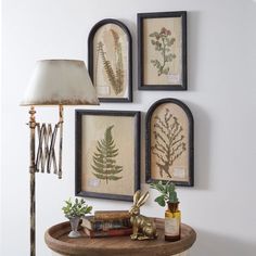 three framed pictures on the wall above a table with books and plants in vases