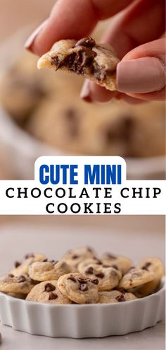 a hand holding a chocolate chip cookie in front of a bowl of cookies and the words cute mini chocolate chip cookies