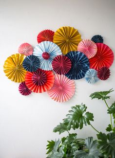 colorful paper fans hanging on the wall next to a potted plant in front of a white wall