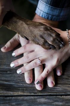 two people with their hands on top of a dog's paw and one holding the other