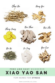 How TCM can help you with #stress - #stressrelief #womenshealth #mentalhealth #guthealth #health #wellness #tcm Herbalist Remedies, Eastern Healing, Asian Herbs, Chinese Medicinal Herbs, Chinese Herbal Tea, Acupuncture Benefits