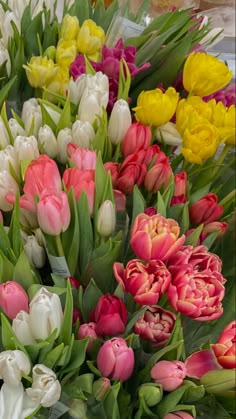 many different colored tulips and other flowers