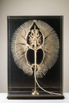 an intricately designed sculpture is displayed in a glass case