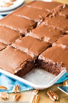 a chocolate cake is cut into squares with pecans on the side