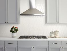 a stove top oven sitting inside of a kitchen next to white cabinets and a potted plant