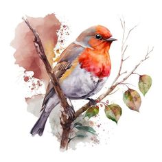 a watercolor painting of a bird sitting on a branch