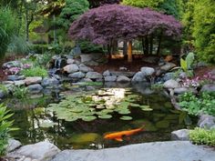 a pond surrounded by rocks and water lilies