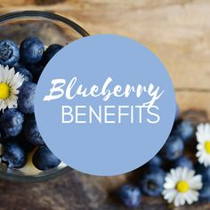 blueberries and daisies in a glass bowl with the words blueberry benefits above them