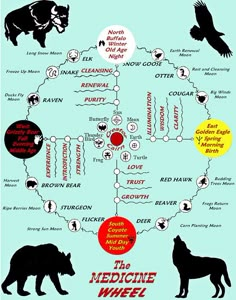 the medicine wheel with different animals and their names in red, yellow, black and white