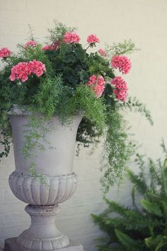 a white vase with pink flowers in it sitting next to a planter and potted plants