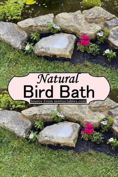 the words natural bird bath surrounded by rocks and flowers